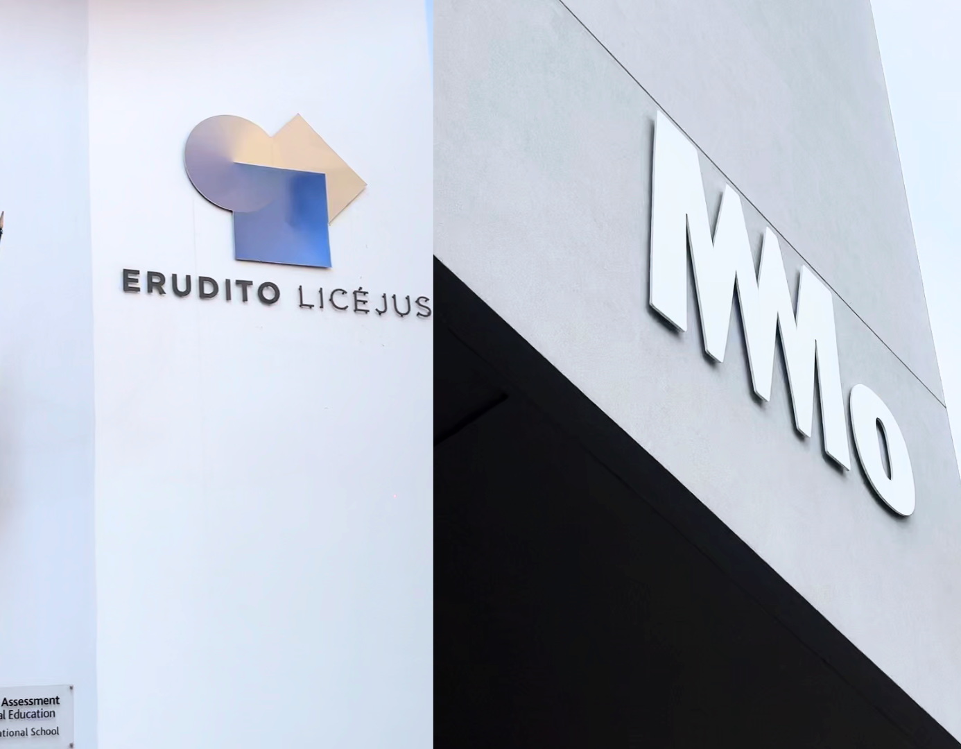 Learning Through Art: The Sustainable Partnership Between Erudito Lyceum and MO Museum